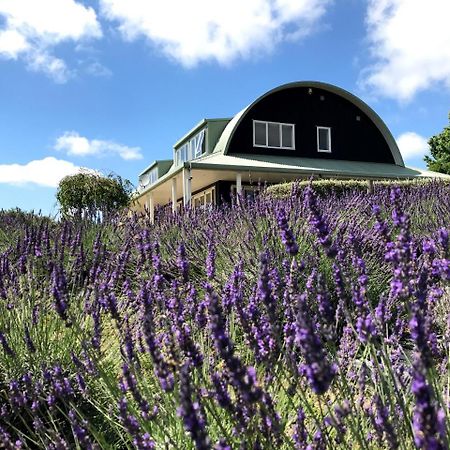 Bed and Breakfast Lavender Hill Riverhead Exteriér fotografie