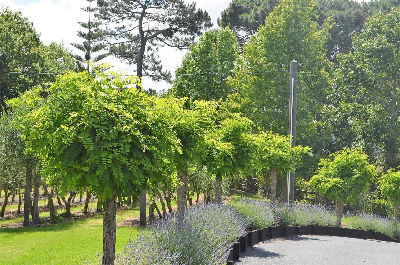 Bed and Breakfast Lavender Hill Riverhead Exteriér fotografie