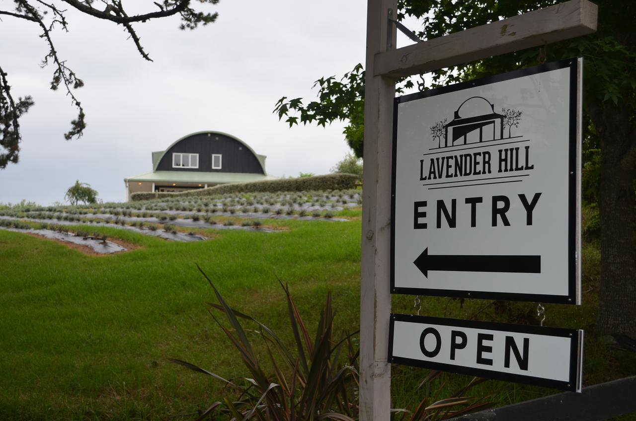 Bed and Breakfast Lavender Hill Riverhead Exteriér fotografie