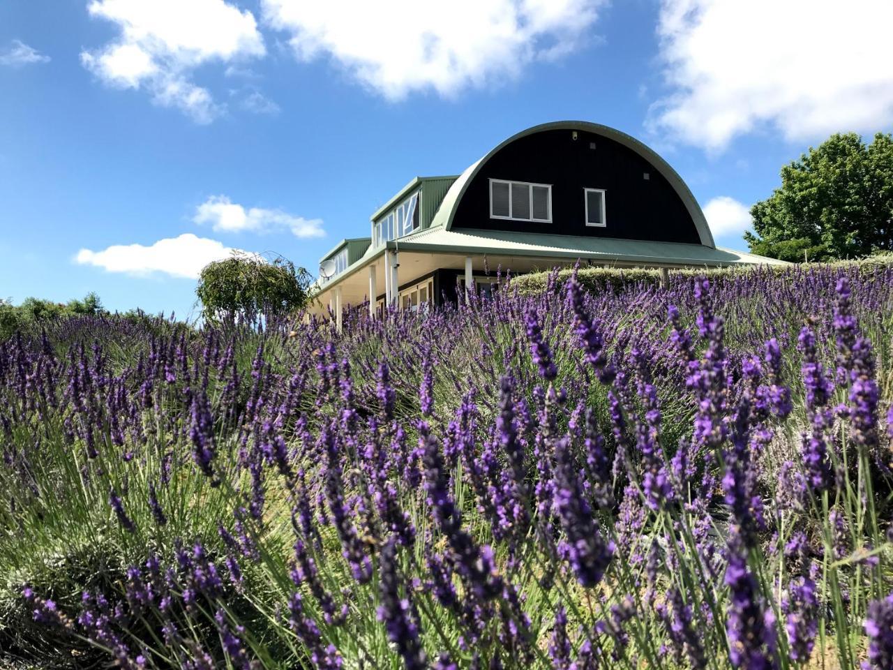 Bed and Breakfast Lavender Hill Riverhead Exteriér fotografie